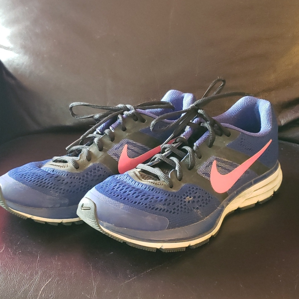 Nike Pegasus 30 - Gem